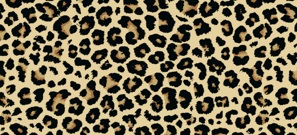 Ragamuffins-25-years-of-Organic-Colour-Systems-leopard-print
